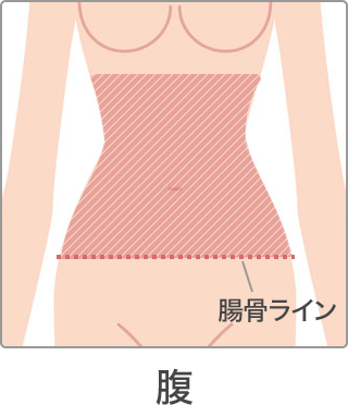 脱毛 部位 腹