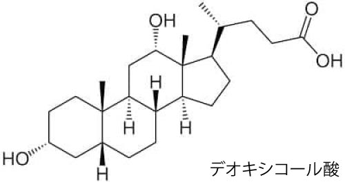 デオキシコール酸　おすすめ小顔脂肪溶解注射