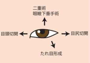 目を上下左右に大きくする方法