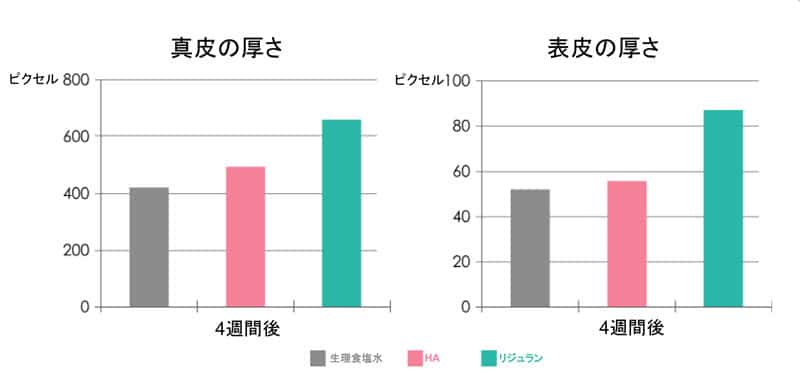 皮膚の厚みの変化