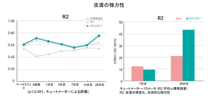 皮膚の弾力性